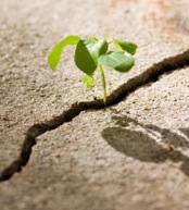 individual counselling london